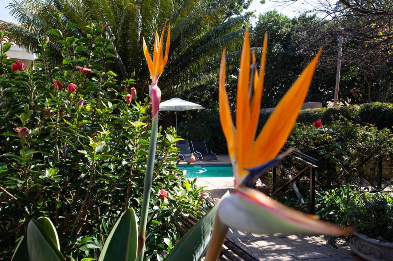 Constantia Manor Guest House Pretoria-Noord Εξωτερικό φωτογραφία